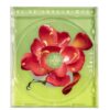 あいみょん "愛の花" CD カバー